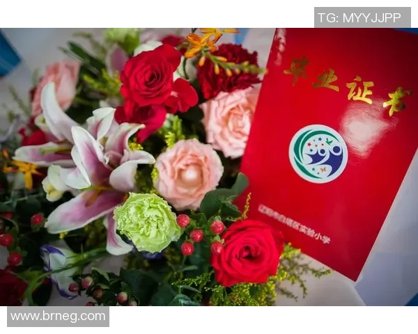 与李磊畅谈篮球生涯的点滴与成长之路