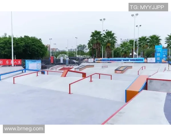 广州滑板队的阵地战分析与发展趋势探讨