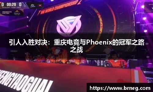 28圈官网