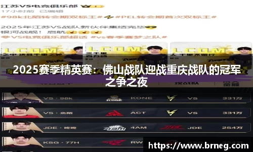 2025赛季精英赛：佛山战队迎战重庆战队的冠军之争之夜